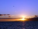 DSC00750.JPG