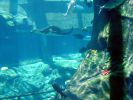 DSC00975.JPG