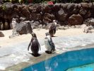 DSC00983.JPG