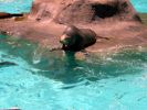 DSC00989.JPG