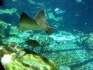DSC01022.JPG
