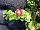 DSC01140.JPG