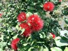 DSC01165.JPG
