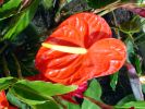 DSC01220.JPG