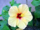 DSC01223.JPG