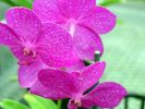 DSC01225.JPG
