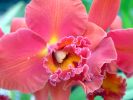 DSC01228.JPG