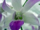 DSC01230.JPG