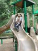 DSC04796.JPG