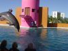 DSC05707.JPG