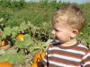 DSC06777.JPG