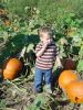 DSC06781.JPG