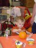 DSC06787.JPG
