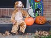 DSC06869.JPG