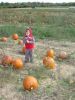 DSC08279.JPG