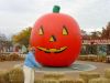 DSC00548~0.JPG