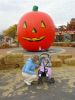 DSC00550~0.JPG
