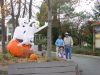 DSC00552~0.JPG