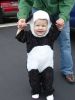DSC00572~0.JPG