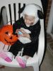DSC00583~0.JPG