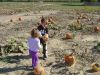DSC01584.JPG