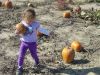 DSC01590.JPG