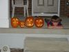 DSC01662.JPG