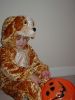 DSC01680.JPG